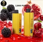 iget 10000 puffs - Expert Guide and Review
