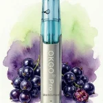 OKGO 6500 Puffs BlackCurrant-3 Pack