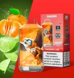 JNR Falcon 16000 Puffs 10 Packs (Ship from oversea) - Image 6