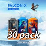 JNR Falcon-X 18000 Puffs 30 Pack (Ship from oversea)